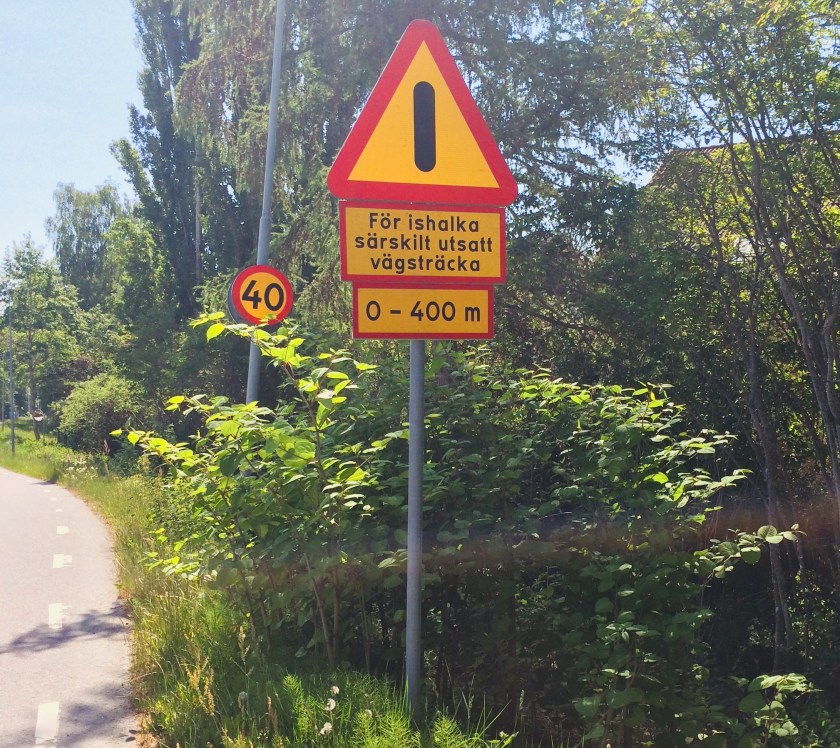 041BA6BE-BDAF-4268-836B-D85135F0F383