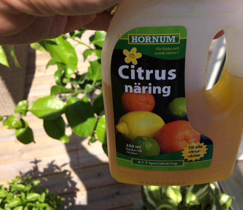 270AF37C-1CF4-45C1-9527-6E8545C3228B