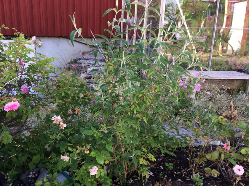 2E0FD482-56EF-43D3-9F93-BC60A00C5219