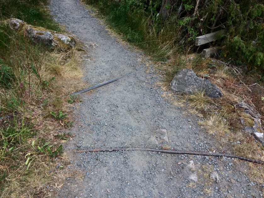 4F8A1236-6591-4489-BCB4-636E11C7EE48