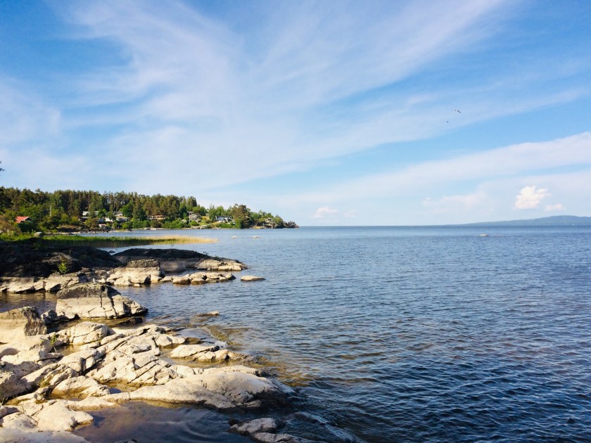 5E60CA58-B90A-4EE2-A513-555232A09079