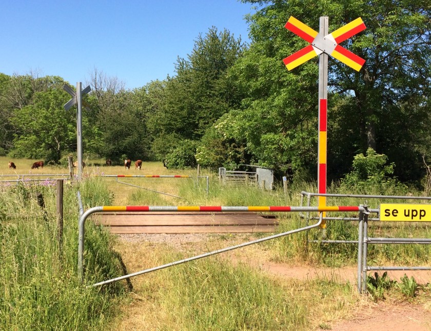 8F9F7E38-21FC-4E8B-9F5B-78E23B4BB431