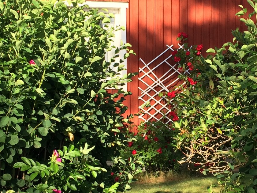 FB74C296-C728-4A7E-9DBD-F877332583B8