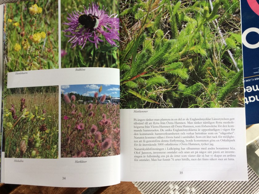 0292DA92-9706-47B1-963C-1C146B54702F