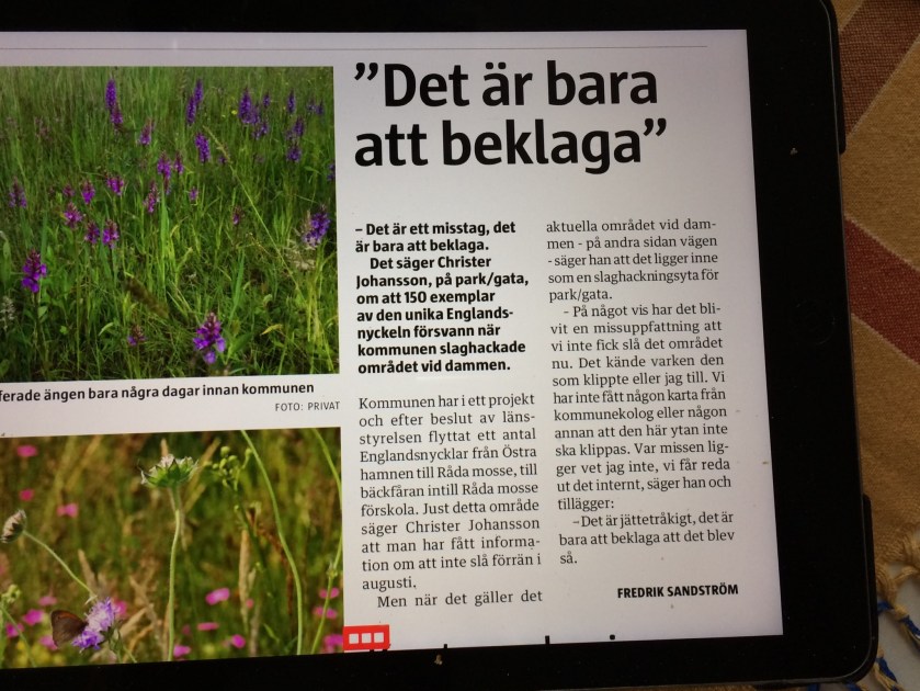 1D360107-701A-4B54-9693-82F5E75C65A7