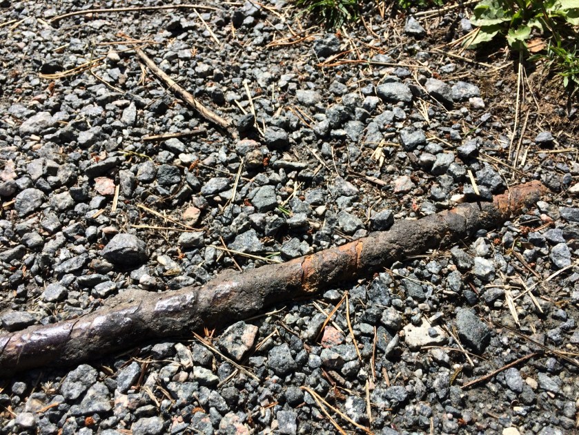 4623793B-C6C1-42A4-B634-836F1D0E7015