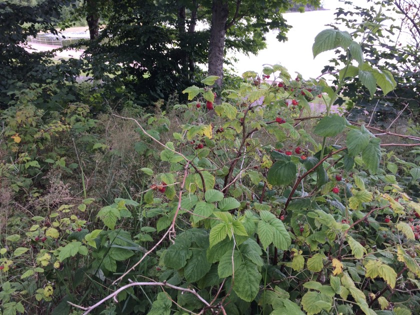 519E4FD6-3493-46EF-9A5D-F613CAECF44F