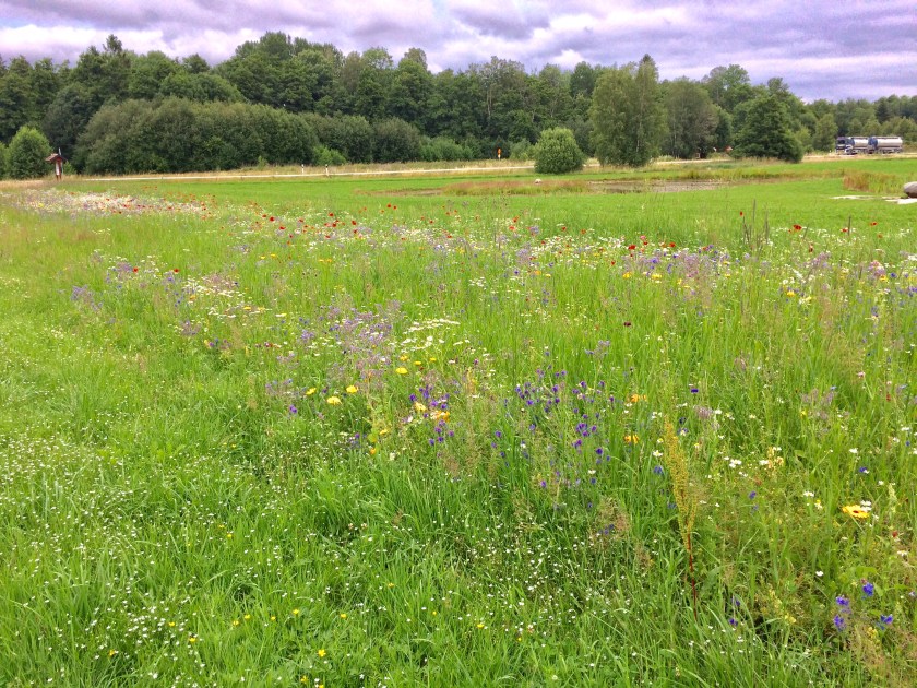 51DD683E-D59A-4D70-A0E9-D885DDE3F4A7