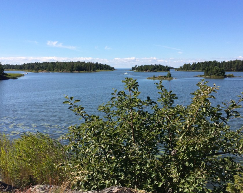 5C438AA1-CEBF-4EA2-8D72-D49FB99FC456