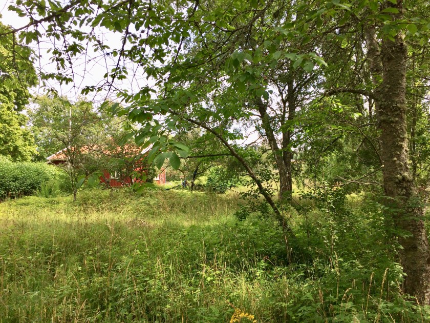 64C08D84-1C59-495A-B59F-38E01191856B