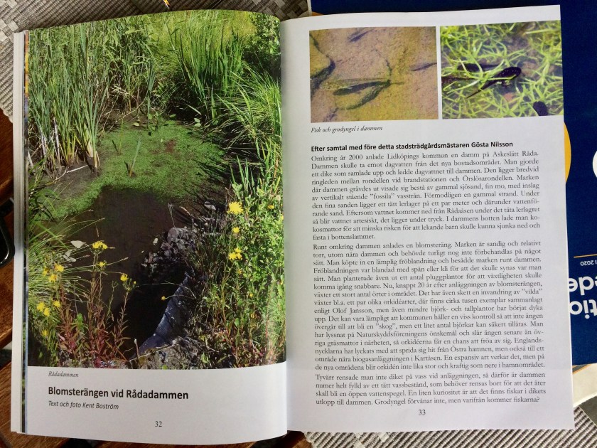 65C2D255-C046-4CCD-A213-CE3A036975D7