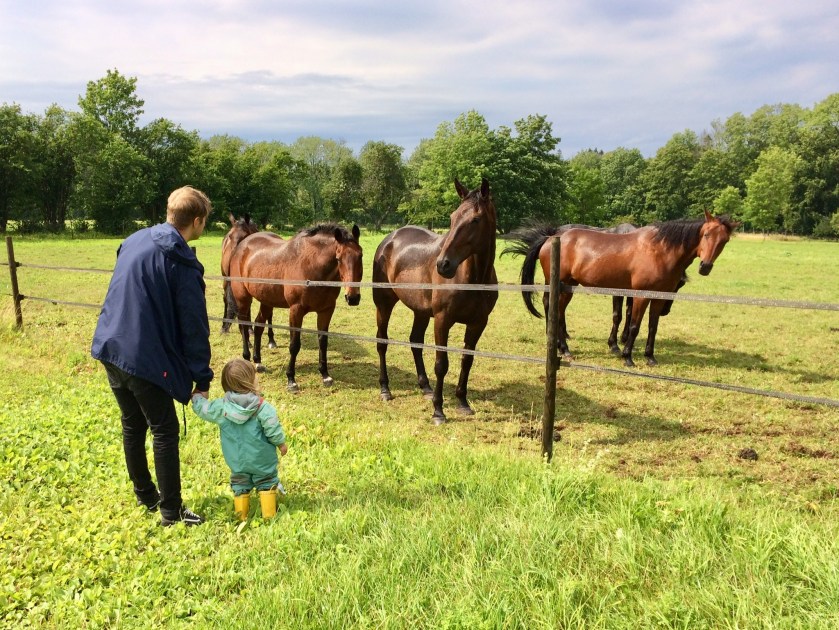 69119A8E-106C-4435-B376-B3CFB06726D3