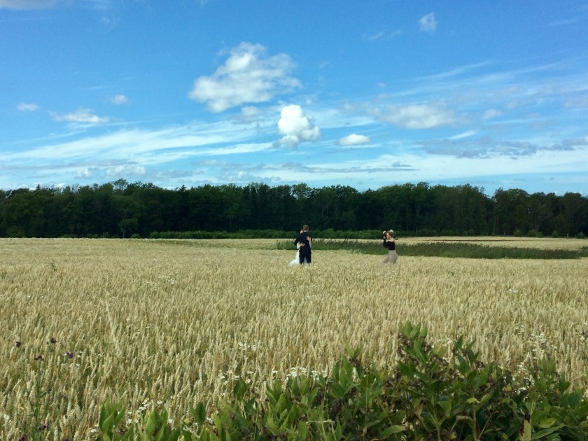 6A7FB213-B627-48AE-8A9C-2A633F54676F