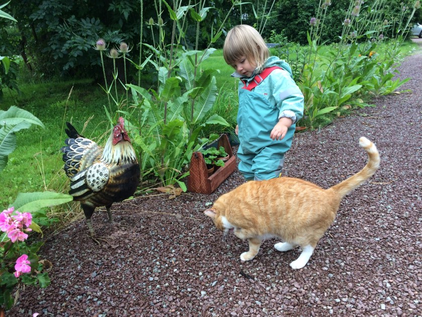 6C9B12E2-4AB8-4802-903C-1FAEAC7E2006