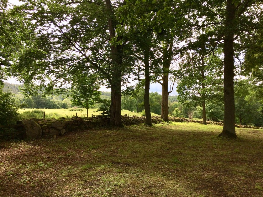 91D2C563-8482-4246-966E-3D0CBBD41F65