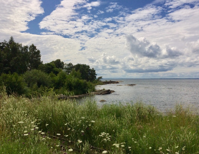 966F9F06-ECFC-4C5E-BBBF-8EAE3CFE2FAC