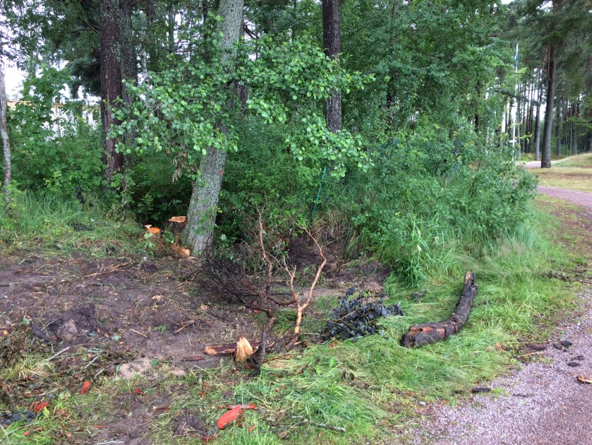 9EF551B6-3B0D-4846-85AA-D4E8BAA5A9E3