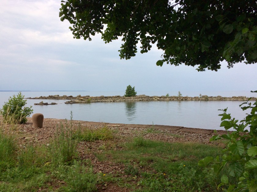 A14A9343-1883-4E4A-BBA3-B0243362A6A5