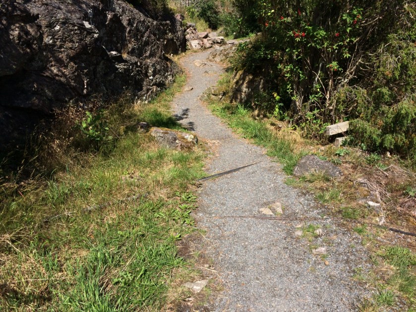 BB7926F3-4453-4FC6-97DF-8D7609D345D4