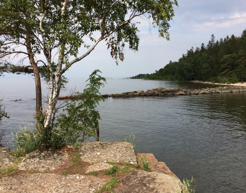 C92F1274-905F-4B0D-9664-31A9861F044F