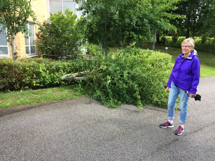 C9725030-2B38-49B6-90D7-CB48569486BA