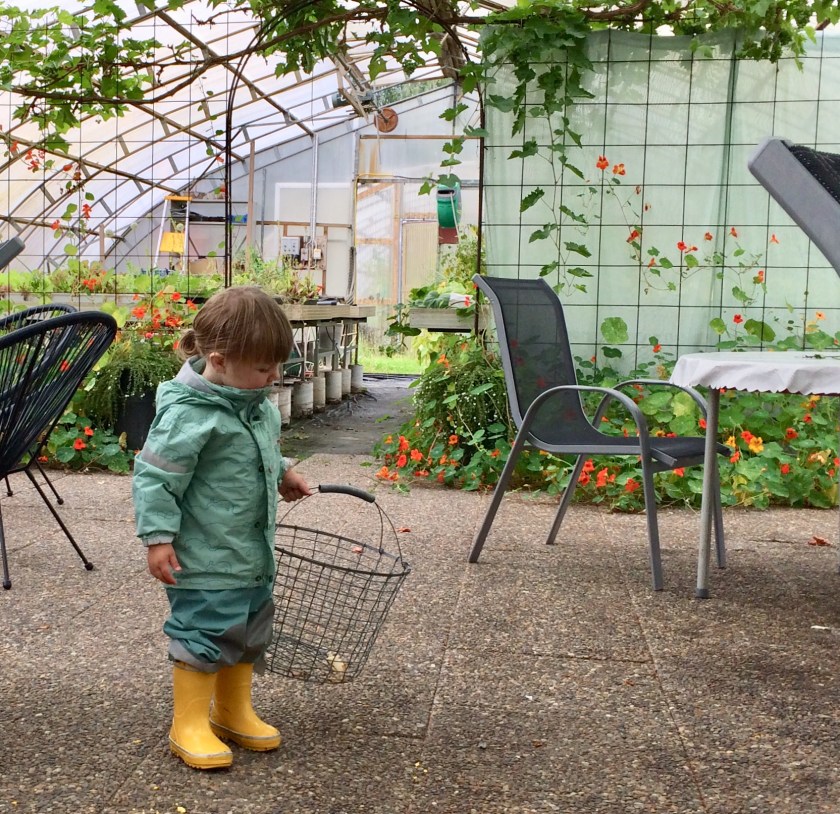 D6D25B4B-2766-4EE7-A699-A8B09FA472B9