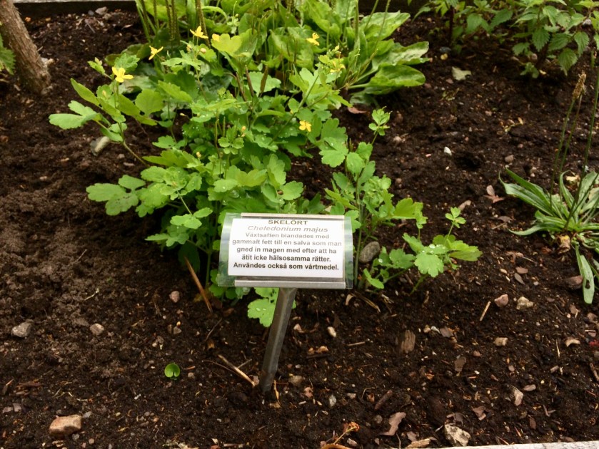 D936E150-512D-4C8B-84BD-E289137DEE13