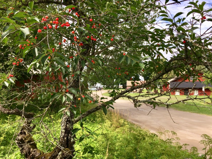 E45DEF3F-91D1-426F-AC72-5E097143FC2C