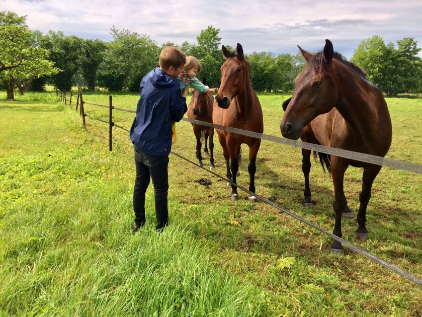 E64D178A-1102-447B-80D9-3B2405EF9948