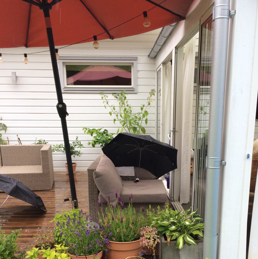 F917F11F-E085-4DF0-AA88-2F5E96AF4ADE