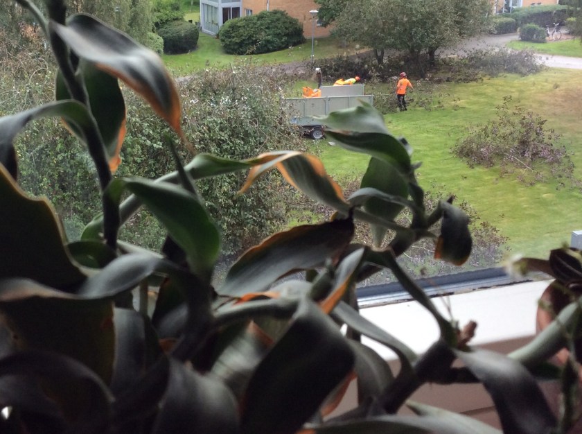 009A4F46-7496-40E2-AF5E-600547323F88