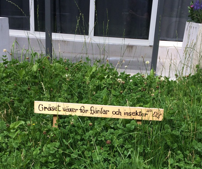 21F8F7D2-84C1-46A0-BE87-0E7BB49DDC47