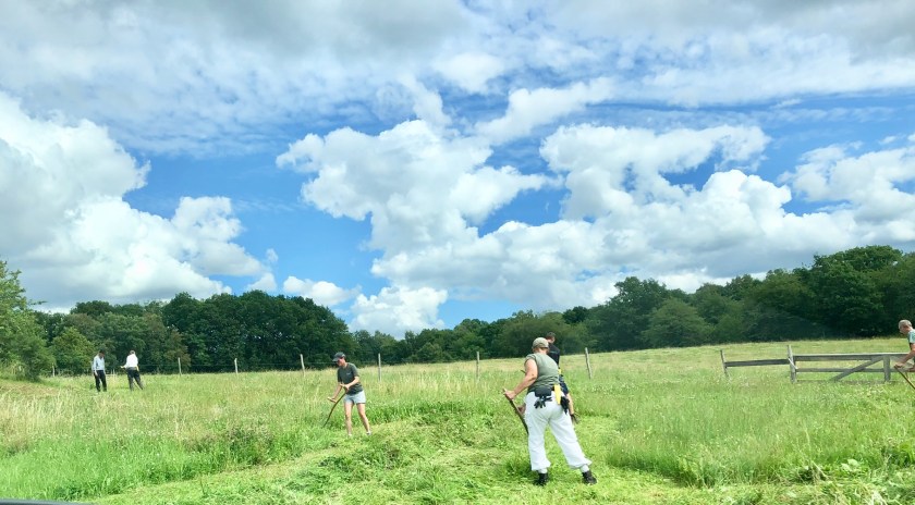 4B329EB8-D363-4CA1-AB3E-772D20C541D1