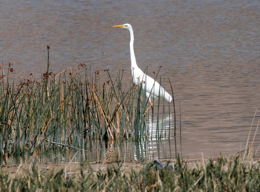 69909412-6984-4DEB-A236-3E2C68BF3906