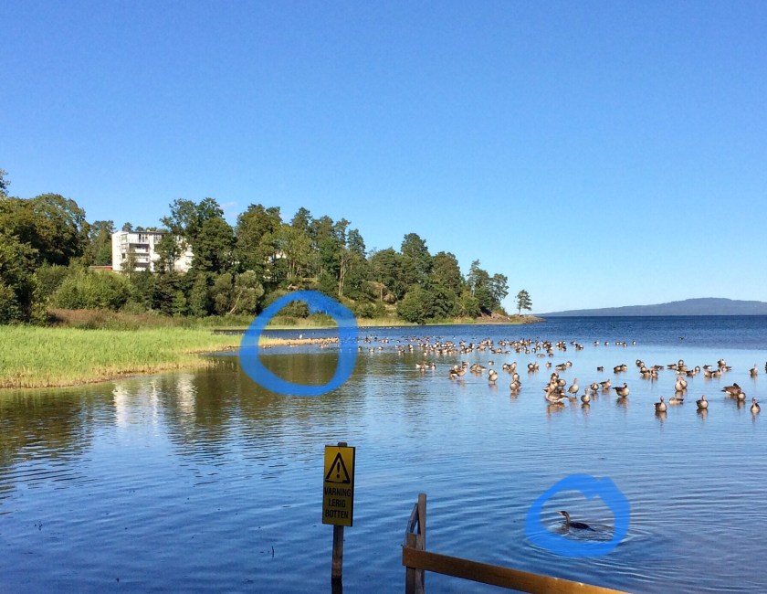 D6D5AAFC-02F3-4B45-83CF-D376C218E26A